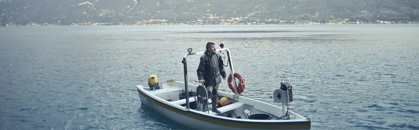 Günstiges Matrix Geschäft 30 Günstiges Matrix Geschäft -Günstiges Matrix Geschäft gai 14